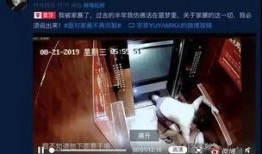 网红翻车室友爆料视频,揭秘背后真相