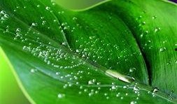 叶子户外内部爆料视频,独家爆料带你探秘户外运动新潮流