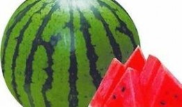 西瓜爆料泰蜜的视频大全,泰蜜视频大全精彩瞬间大盘点